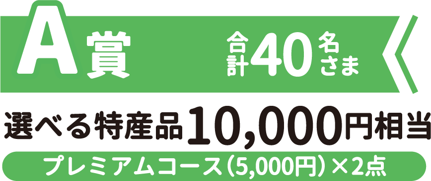 A賞 選べる特産品10,000円相当 プレミアムコース(5,000円)✕2点