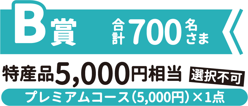 B賞 特産品5,000円相当 選択不可 プレミアムコース(5,000円)✕1点