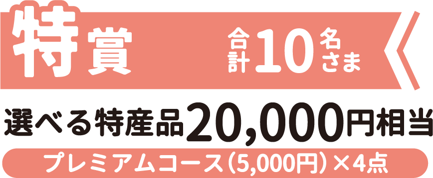 特賞 選べる特産品20,000円相当 プレミアムコース(5,000円)✕4点